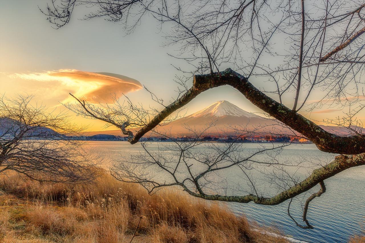 פוג'יקאוואגוצ'יקו Yamabiko Lake Saiko מראה חיצוני תמונה